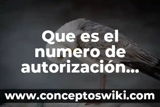Qué es un número real y entero 4 Que es el numero de autorización de bamamex