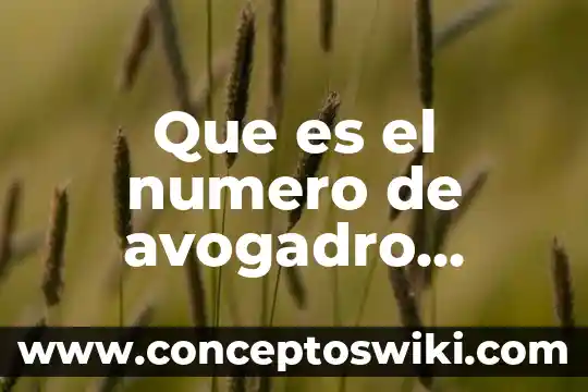 Qué es número de ubicación internacional gln 7 Que es el numero de avogadro unam
