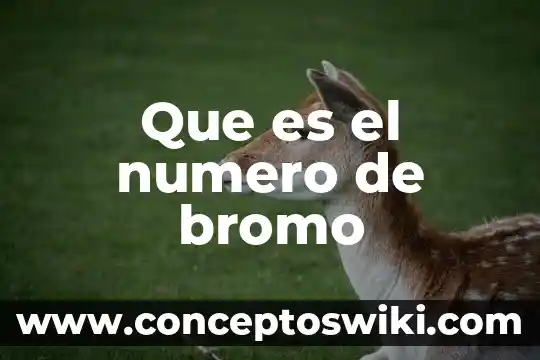 Qué es un número real y entero 5 Que es el numero de bromo