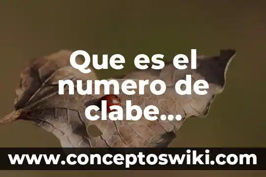 Qué es el número de cuenta CLABE que pide SAT 7 Que es el numero de clabe interbancaria
