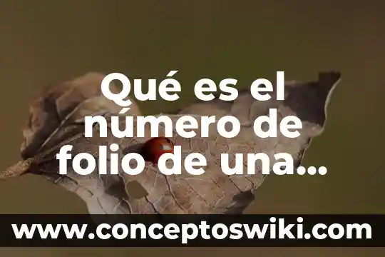 Para que es la tarjeta verde de gobierno de cdmx 3 Qué es el número de folio de una tarjeta