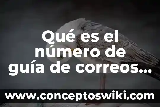 Introducción de lo que es bpo en mexico 3 Qué es el número de guía de correos de México