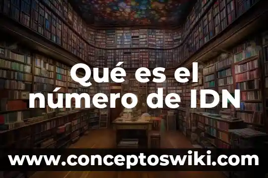 Qué es simplificar un número fraccionario 8 Qué es el número de IDN