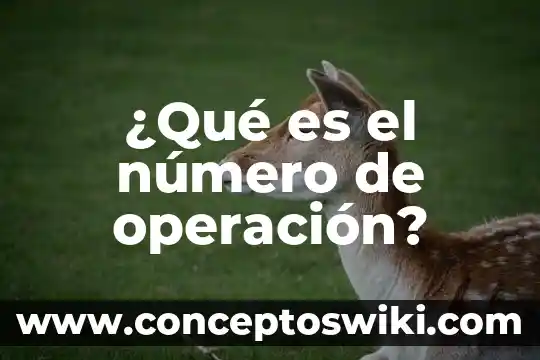 Que es el numero del diario contabilidad 8 ¿Qué es el número de operación?