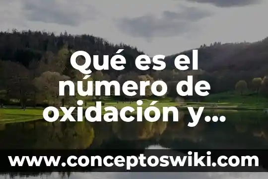Qué es el número cas 7 Qué es el número de oxidación y cómo se obtiene
