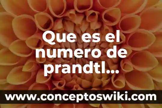 Qué es el número de autorización bancaria 3 Que es el numero de prandtl termodinámica