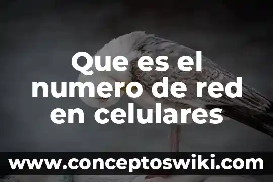 ¿Qué es el desvío de llamadas activado en celulares? 3 Que es el numero de red en celulares