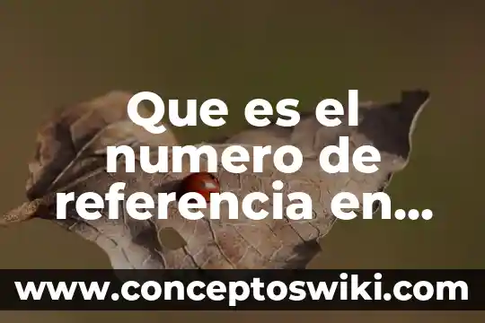 Qué es el número de vat 8 Que es el numero de referencia en un pago