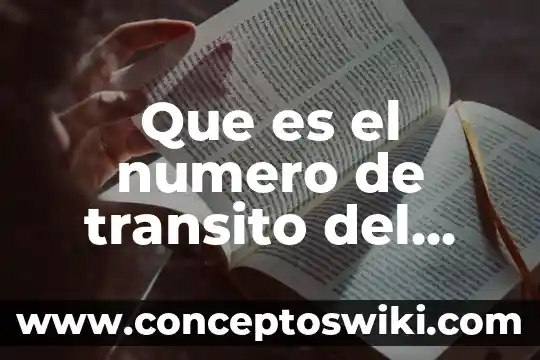 Qué es un número real y entero 7 Que es el numero de transito del banco