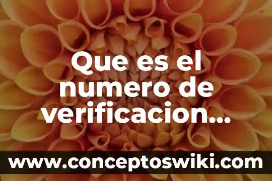 Cual es el significado etimológico de verdad y que es 5 Que es el numero de verificacion vehicular cual es