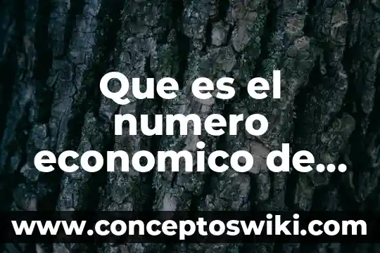 Que es simplificar un número 3 Que es el numero economico de un auto