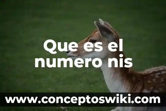 Qué es en número la K y M en Instagram 4 Que es el numero nis