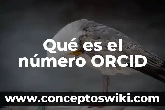 Que es simplificar un número 8 Qué es el número ORCID