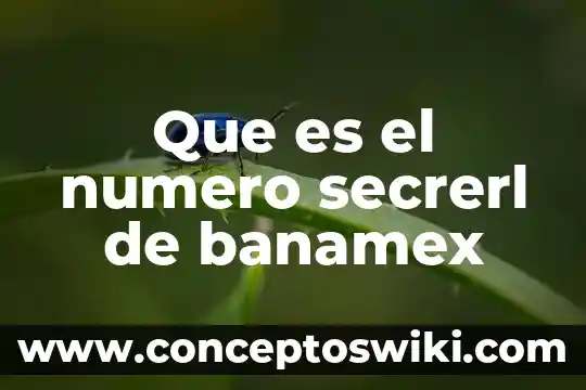 Qué es en número de foja 5 Que es el numero secrerl de banamex