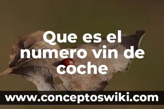 Qué es el número de carnet 8 Que es el numero vin de coche