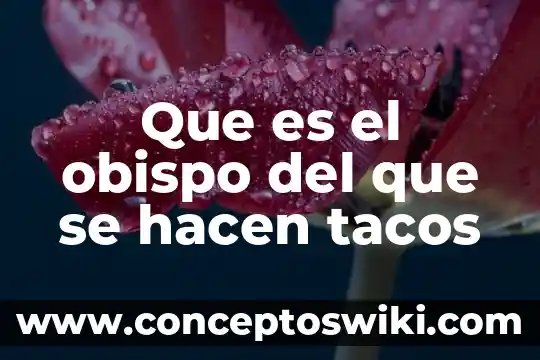 Que es un avatar del sol 8 Que es el obispo del que se hacen tacos
