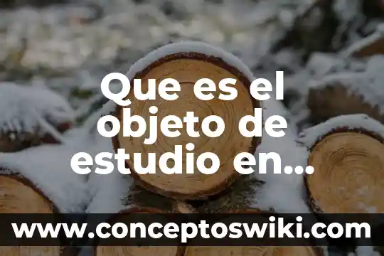 Objeto que es qumica 4 Que es el objeto de estudio en investigacion