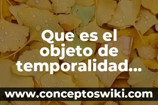Que es duplo en derecho 4 Que es el objeto de temporalidad en el derecho