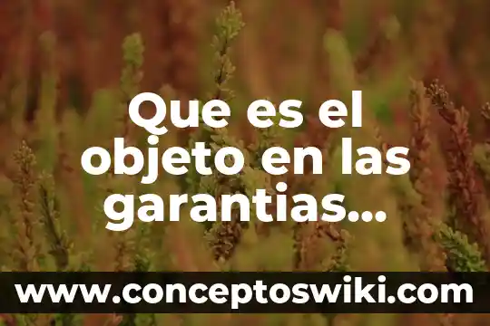 Que es un objeto compuesto ejemplos 5 Que es el objeto en las garantias individuales