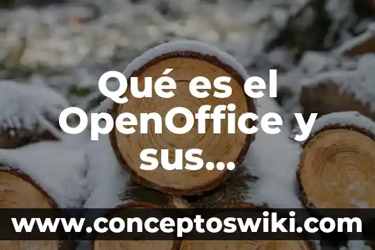 Que es el ciclo del agua y sus caracteristicas 7 Qué es el OpenOffice y sus características