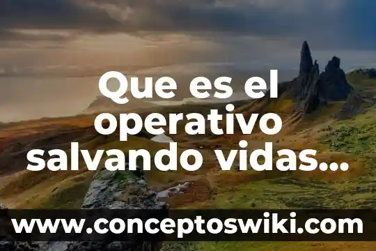 ¿Qué es un plan operativo programa de salud? 5 Que es el operativo salvando vidas real