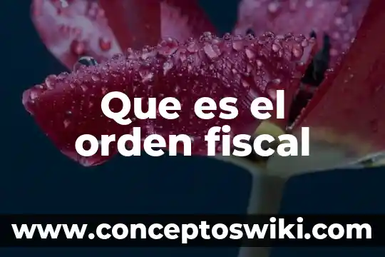 Que es neurodesarrollo concepto 5 Que es el orden fiscal