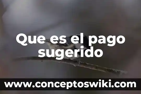 Que es la extincion del pago 8 Que es el pago sugerido