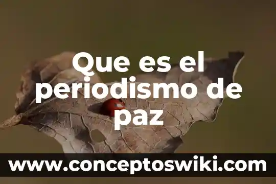 Por qué es importante que conozcas la cultura de paz 3 Que es el periodismo de paz