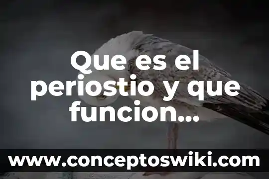 Qué mes cumple una persona que es signo acuario 8 Que es el periostio y que funcion cumple