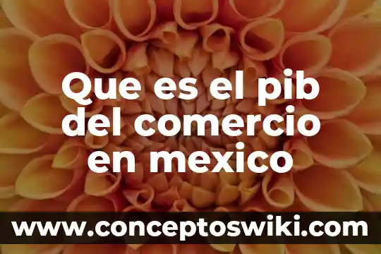 Que es un recibo de dinero para mexico legalmente 5 Que es el pib del comercio en mexico