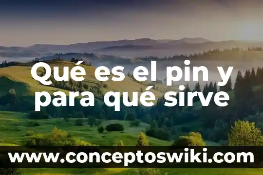Para que es el codigo pin 3 Qué es el pin y para qué sirve