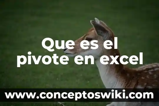 Que es el randomize en excel 5 Que es el pivote en excel