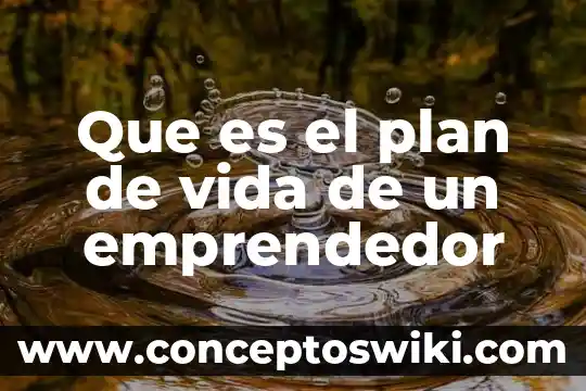 Que es un plan de recuperacion 6 Que es el plan de vida de un emprendedor
