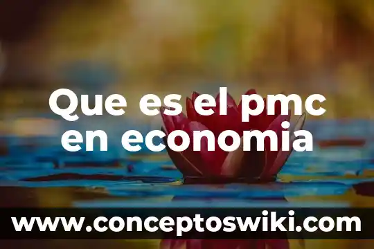Que es discupulos en economia 3 Que es el pmc en economia