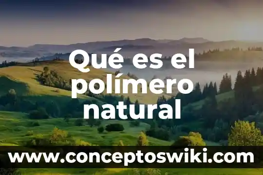 Que es un jardin natural 8 Qué es el polímero natural