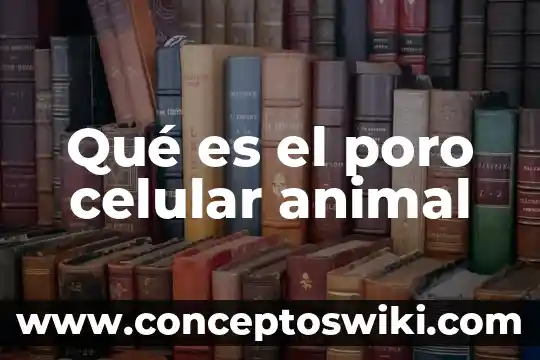 Qué es la lógica de un celular LG 3 Qué es el poro celular animal