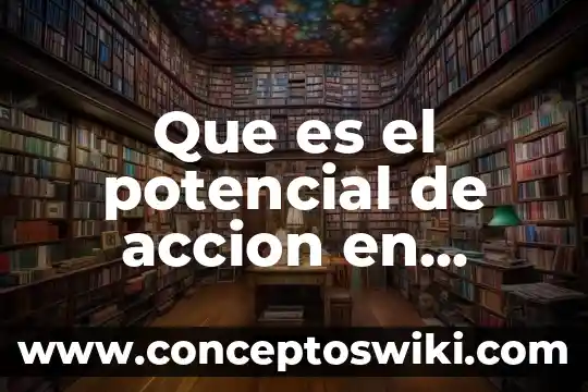 Que es el umbral en el potencial de accion 8 Que es el potencial de accion en reposo