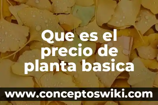 Que es la planta de aralia estrella 8 Que es el precio de planta basica