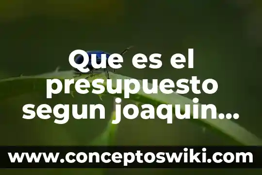 Según Moreno Navarro, que es la equidad 3 Que es el presupuesto segun joaquin moreno fernandez
