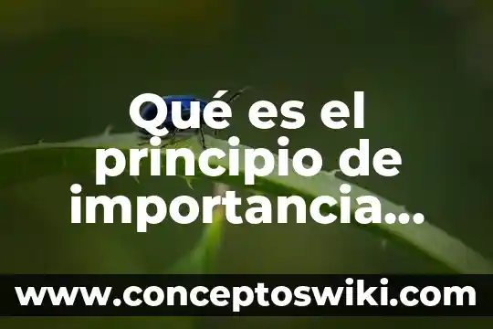 Que es dualidad relativa en derecho 6 Qué es el principio de importancia relativa contable