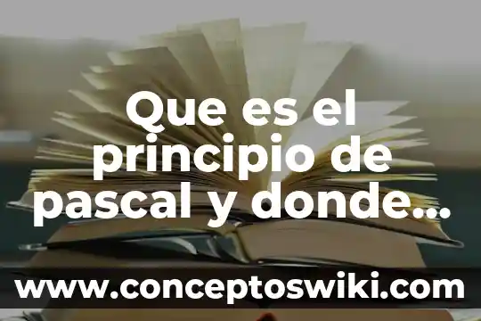Que es el lenguaje y de donde proviene 4 Que es el principio de pascal y donde se aplica