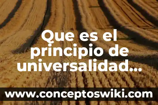 Declaratoria en los derechos humanos que es 4 Que es el principio de universalidad en los derechos humanos