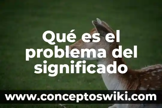 Que es precolombino significado 4 Qué es el problema del significado