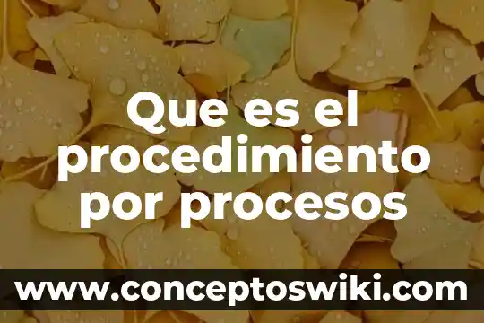 Qué es fundamental y procesos tinsón gram 8 Que es el procedimiento por procesos