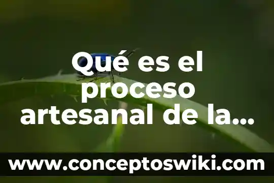 Qué es un proceso artesanal industrial y automatizado 4 Qué es el proceso artesanal de la pirotecnia
