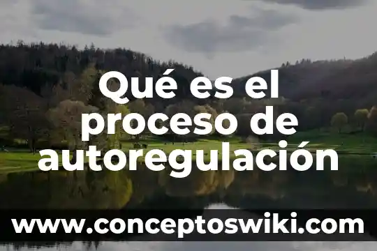 Que es proceso de información 7 Qué es el proceso de autoregulación