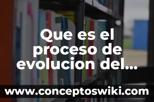 Que es la igualdad de genero en el ambito laboral 3 Que es el proceso de evolucion del genero homo