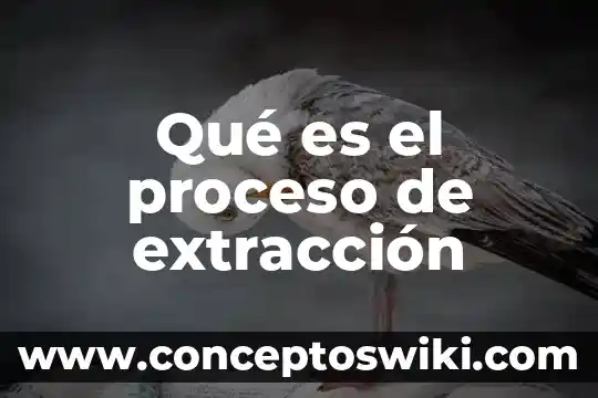 Que es un proceso en una empresa según autores 7 Qué es el proceso de extracción