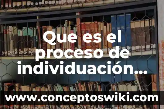 Psicologia del color en que es aplicable 3 Que es el proceso de individuación psicologia
