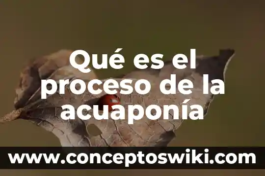 Que es proceso de información 5 Qué es el proceso de la acuaponía